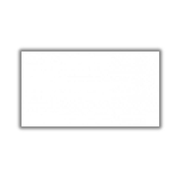 Revestimento Classic White Retificado Acetinado Branco 31x58cm 2,17m2 (Lote 250)