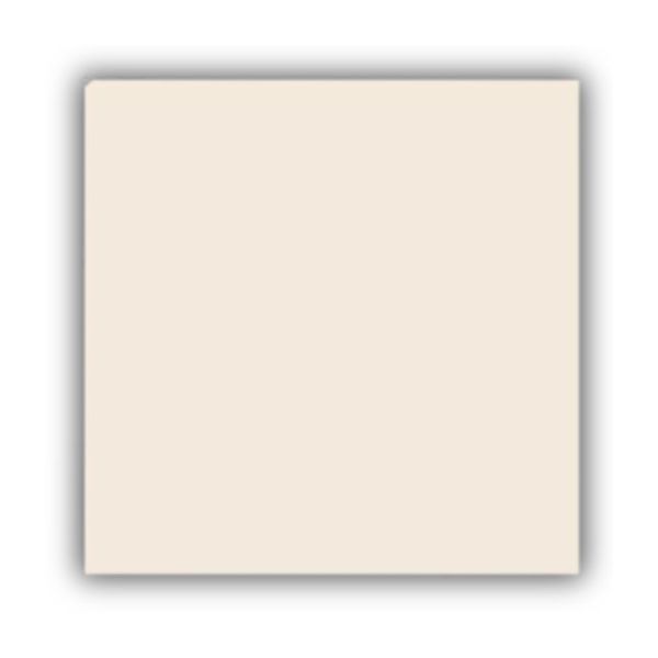 Piso RT 170.045 Retificado Brilhante Bege 56x56cm 2,27m2 (Lote 153)